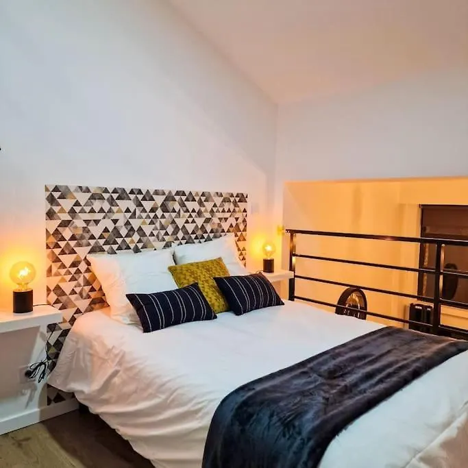 L'Atelier C Magnifique Loft Avec Terrasse Privee Apartment Saint-Etienne